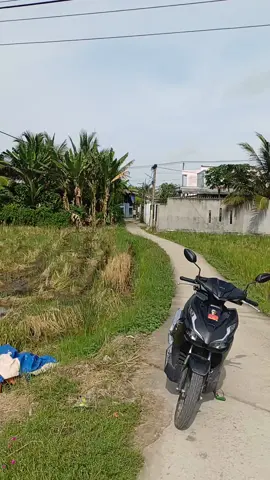 điểm giật vàng rằm tháng 7 tại chợ Trường Khánh ngày 17 tháng 7 năm 2005