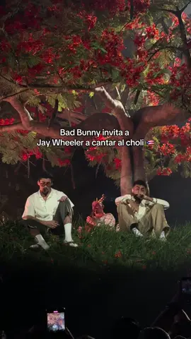 Jay Wheleer primer invitado de la noche en el choli de Bad Bunny 🇵🇷✨ #jaywheeler #badbunny #choliseo #puertorico 