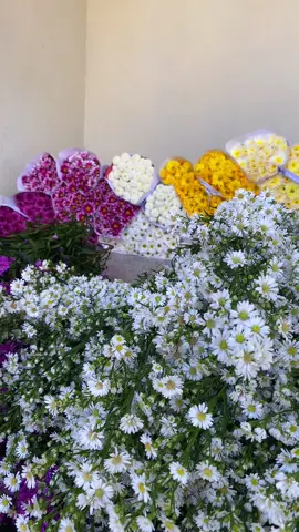 Info pemesanan 🤳🏻  0882003503481 #fyp #fypツviral #freshflowers #bandungansemarang #munculberanda 