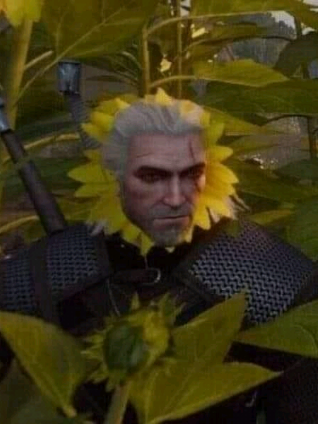 The Witcher 3: Wild Hunt #thewitcher #witcher #clostty 