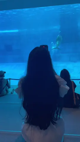 Thuỷ cung Nagoya🐬🐬🐬 #CapCut  #nagoya 名古屋港水族館