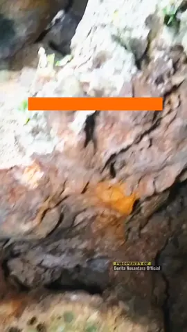 Heboh..Menegangkan..keluar dari goa Persembunyian.. lengkap di FB Berita Nusantara  #goaviral  #exploregresik  #nenekbongkok  #trendingvideo 
