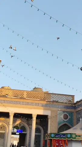 مقام السيدة معصومه  إيران قم