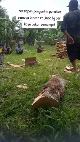 #- persiapan untuk pangantenan mencari kayu