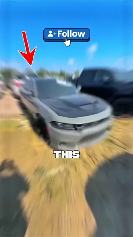 This guy found perfect cars at an auction #dealerauction #mustang #cheapcar #auctioncars 