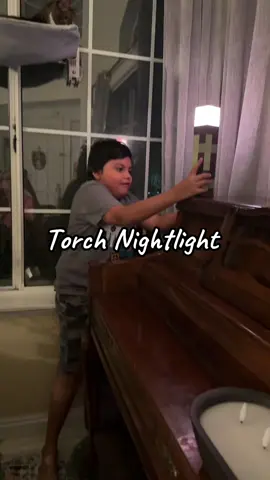 Torch Light 