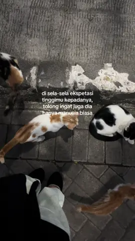 belajar tidak jadi penuntut