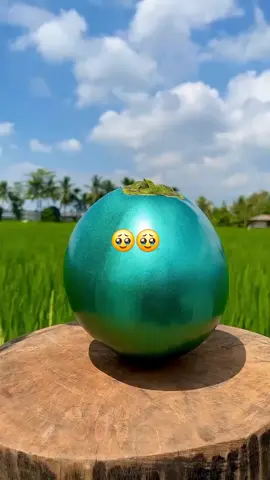 #galaubrutal 