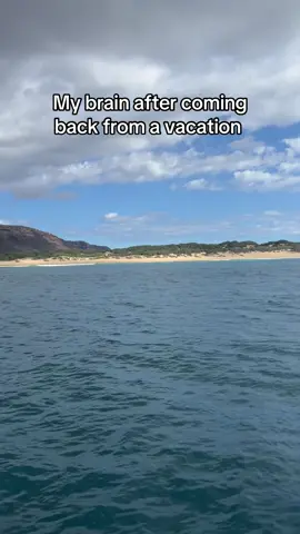 Time to go back on vacation 😆 🧳 ✈️ 🏝️ #vacations #workhumor #travel 