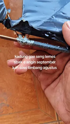 #promoseruweekend #musimlayangan2025 #pelayangtulungagung #storypelayang #pegonceper 