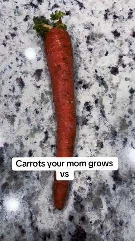 🤦‍♀️🤦‍♀️🤦‍♀️ #funny #relatable #carrots 