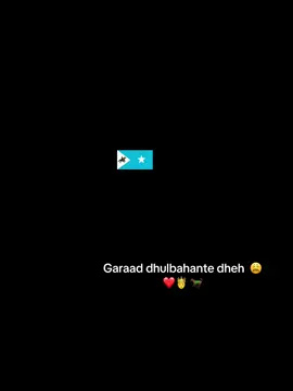 Geesi dhulbahante codkar dheh 💃🔥🐎 🫂 🤴 🫶#CapCut 