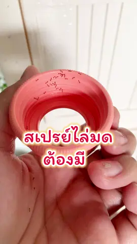 #สเปรย์ไล่มดออแกนิค #สเปรย์ไล่มดสมุนไพร #สเปรย์ไล่มดปลอดภัย #สเปรย์ไล่มดปลอดสารเคมี #รีวิวสเปรย์ไล่มด 