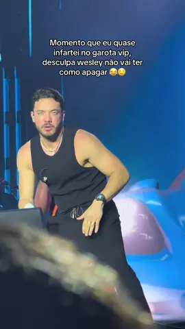 @Wesley Safadão 