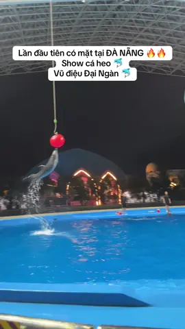 Lần đầu tiên có mặt tại ĐÀ NẴNG 🔥🔥 Mua vé ib em nha Show cá heo 🐬 Vũ điệu Đại Ngàn 🐬 Thiên Đường Cổ Cò #caheo #danang #quangnam #travel #dulich 