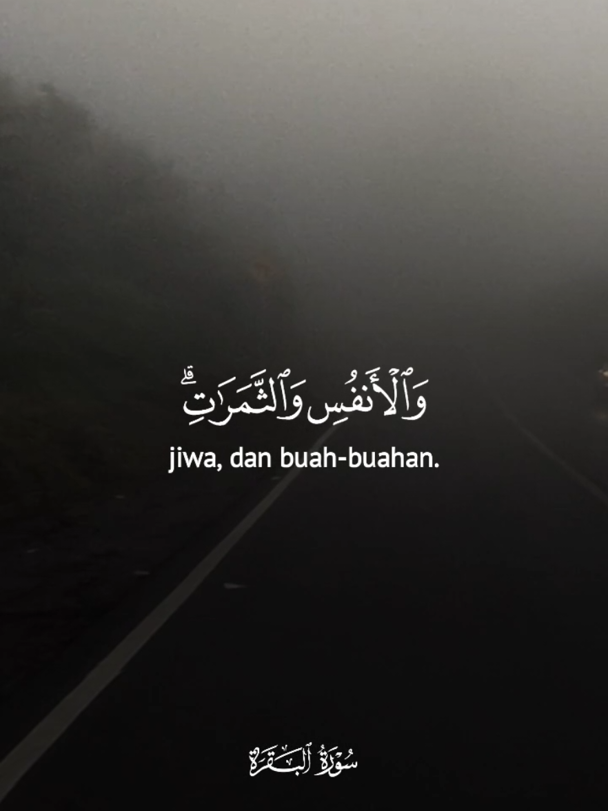#alquran #islamic_video #bismillah #ngaji #fypage 