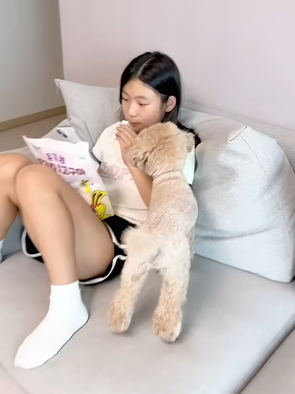 간식먹는것도 힘든 초딩집사의 삶 #Short