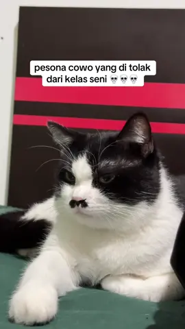 besok pagi kita tundukan eropa 🥶 #lockie #cat #kucing #catsoftiktok #adam 