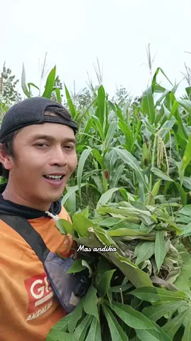 ayah ramban godong tela