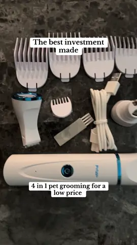 Pet grooming #pets #fyp #foryou #foryoupage #animals 