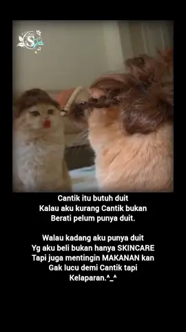 #sekedar_hiburan🌾 #®yn