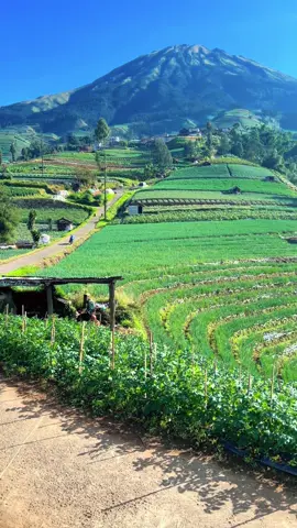 #sukomakmur #sukomakmurmagelang #wisatamagelang 