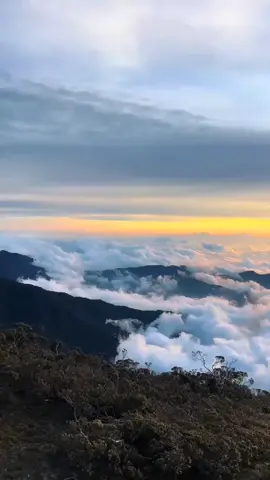 vibes Atap Sulawesi 