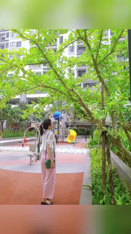 dạo cuối tuần #xinhdep #giaitritiktok #boulevard #canhdep #thiennhien 