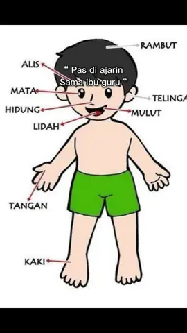 Perasaan dulu gampang hapalin anatomi tubuh🥴 #CapCut #mahasiswakeperawatan #ketorolac💊 #nurseuncle 