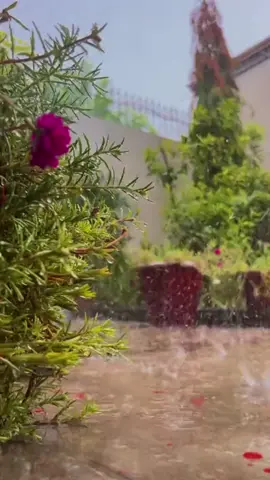 Happy rainy day 🌧️ 🥀#barish #rain #viral  #Love #song 