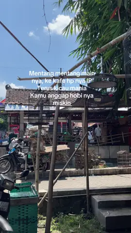 Rego manuk soyo sue soyo larang bolo 😭🔥#fypシ゚viral #kicaumaniaindonesia #muraibatuindonesia #sogonmaniaindonesia 