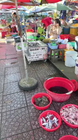 Về quê em chơi nè #xuhuong #fypシ゚ #viral 
