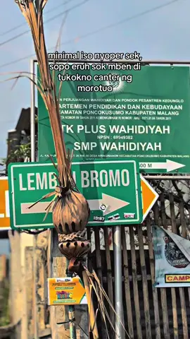 yaa sayyidii yaa rosulallah😇🤲🏻#allahummabarik #jerukpedasgroup #jeruksiemmadumalang #truckmodifiedindonesia #truckmodifikasi #cantermaniaindonesia #canter 