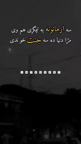 sa armanona ba nimgari hum we #fyp #pashto #unfrezzmyaccount #poetry #vibes 