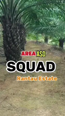 SQUAD RTE#planter #perkebunan #fy #viral 