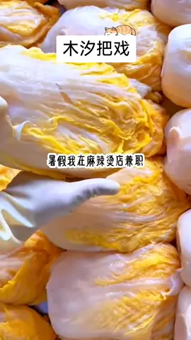 知乎搜索：木汐把戏 #小说 #原神 #小说推荐 