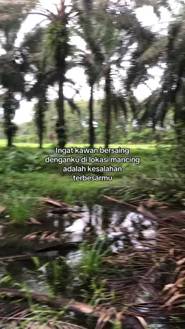 ☝🏻🎣#castingtoman #masukberanda #fishing #castingharuan #castingfishing🎣 