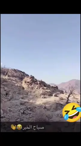 صباح الخير 🌹🌹🌹🌹 اين ما كنتم 