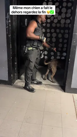 Même le chien fait le dehors ? 😂🥹la fin 