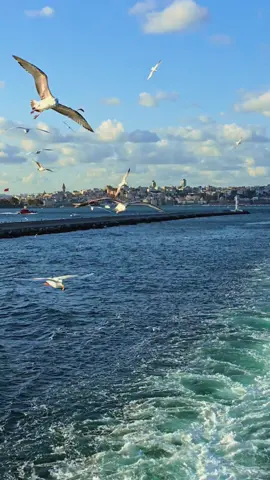 Bazen hayallerden sessizce vazgeçmek gerekir..🥀