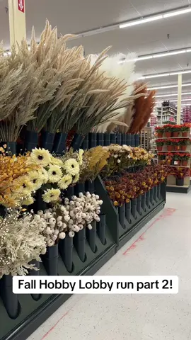 I’m obsessed with fall colors and decor😍 #hobbylobby #hobbylobbyfinds 