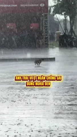 Các gai con hôm nay vất vả rồi 🫨 Vượt ngàn chông gai đúng nghĩa lun ⛈️⛈️ #atvncg #rainyday #chillin #fyp #anhtraivuotnganchonggai 