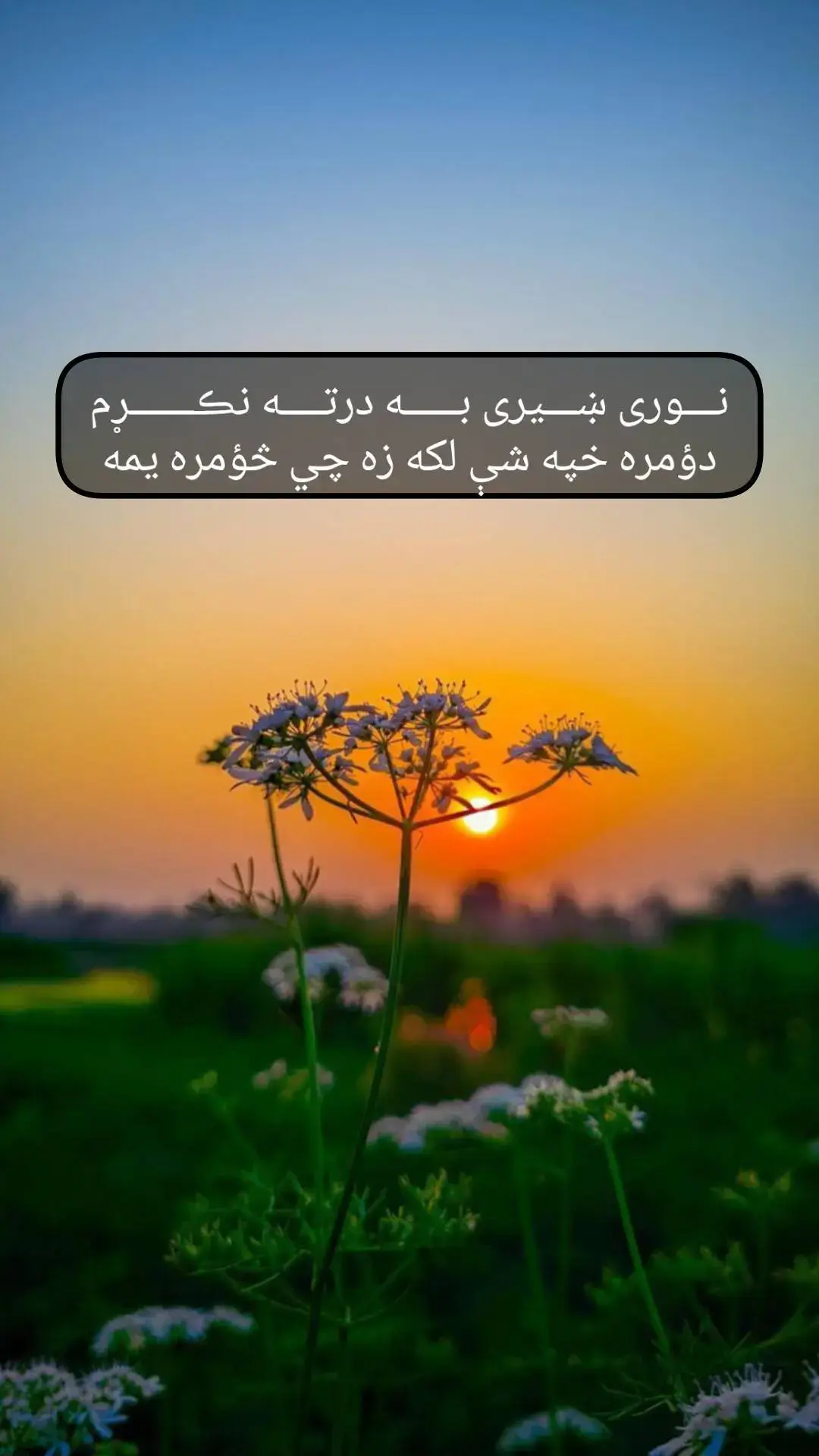 #usa🇺🇸 #trending #tiktok #foryou 