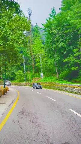 نتھیا گلی ایبٹ آباد #نیچرل_بیوٹی_خیبرپختونخواہ_ #foryoupageoficiall #foryou #onemillionvies#onemillionfollowers