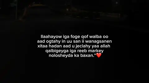 #hanatt_said #owl 