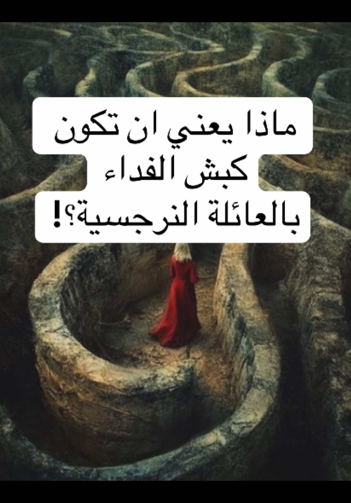 أن تكون كبش الفداء في عائلة نرجسية يعني أن تحمل ذنوبًا ليست لك، تُقصى لأنك رفضت ترديد أكاذيبهم، بينما هم يعيشون راحتهم على حساب ألمك.🎭 #النرجسية #علاقة_سامة #النرجسي #نورا_والعائلة_المزيفة #كبش_الفداء 