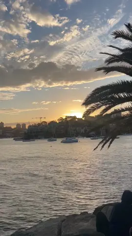 Stunning Spring Sunsets in Sydney#sunset #sunsetlover #sydney #beautifulview #mothernature 