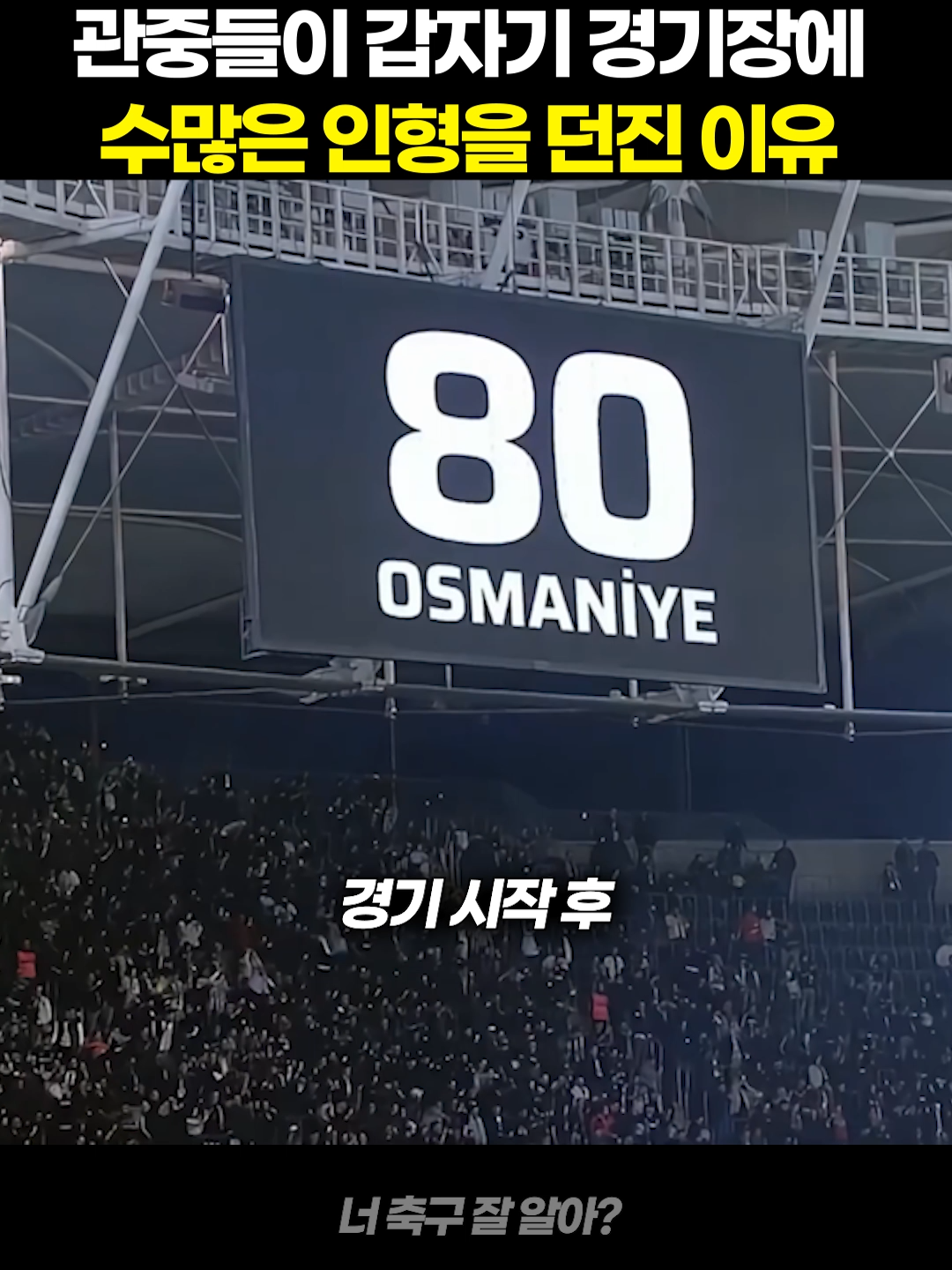 관중들이 갑자기 경기장에 수많은 인형을 던진 이유 #축구 #너축구잘알아 #감동