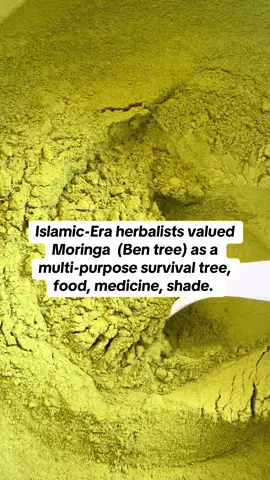 Shop link in bio to  Organic fresh Moringa.  Most people walk around tired, inflamed, and nutrient-deficient  without even knowing it. 🌿 That’s why moringa is called the Miracle Tree. How it helps: Moringa leaves contain over 90 nutrients and 46 antioxidants. 	•	Gram for gram: 	•	More vitamin C than oranges 	•	More vitamin A than carrots 	•	More calcium than milk 	•	More potassium than bananas 	•	More iron than spinach 	•	Plus all 9 essential amino acids rare for a plant, making it a complete protein. 🌿 2. Anti-Inflammatory Power 	•	Rich in isothiocyanates (same family as broccoli sprouts) → fight chronic inflammation. 	•	Supports people with joint pain, arthritis, or inflammatory skin conditions. 🌿 3. Liver & Blood Protector 	•	Protects liver cells from toxins (backed by animal and human studies). 	•	Balances liver enzymes, helping with detoxification and blood sugar regulation. 🌿 4. Gut, Energy & Sleep 	•	Magnesium + tryptophan → helps relax muscles, ease stress, and support sleep cycles. 	•	Chlorophyll + iron → improve oxygen delivery in blood, boosting natural energy. 🌿 5. Skin & Hair Benefits 	•	Vitamin A for cell turnover. 	•	Vitamin E + antioxidants to fight free radicals → slowing premature aging. 	•	Oleic acid (healthy fat) nourishes skin barrier. #islamiceducation #muslimtok #moringabenefits #holistichealth #fyppp 