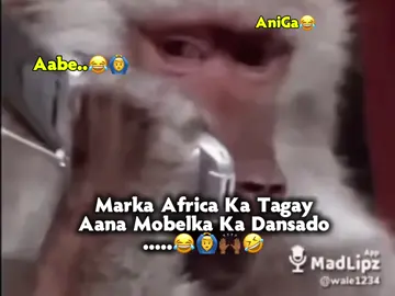 Naagta Atagtaba Mobel aa Ugade😂🙆‍♂️#Viewsxumo💔 #somalitiktok #viewsbroblem💔🥺 #fyp 